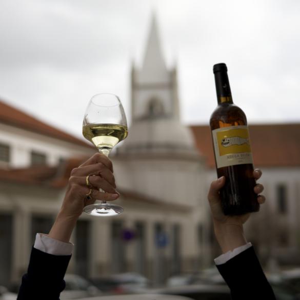 Wine Tasting Experiences of Your Choice Where to Go in Lisbon