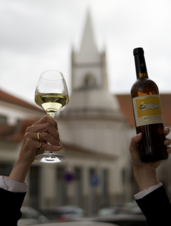 Wine Tasting Experiences of Your Choice Where to Go in Lisbon
